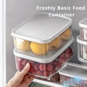 Freshly Basic Food Container